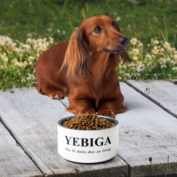 pet-bowl-white-18-oz-front-6875c38edf5fc.jpg Yebiga Pet Bowl - Image 1